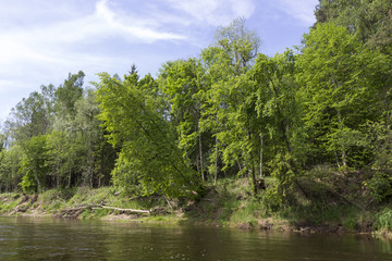 Gauja National Park