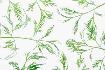 Green dill on a white background. Pattern. Ornament. Food background