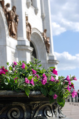 Fototapeta na wymiar Summer flowers by the Christ the Redeemer cathedral in Moscow. Popular landmark. Color photo.