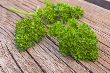Curly leaf parsley on wooden surface.