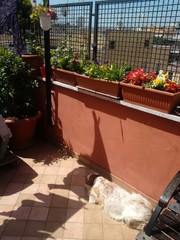 scene di vita quotidiana