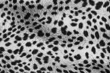texture of print fabric stripes leopard - 112302337