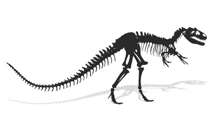 Skeleton of  dinosaur.  