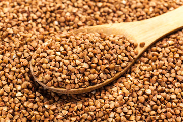 Buckwheat texture high-quality photograph of premium buckwheat groats