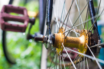 Bicycle wheel on green meadow close up