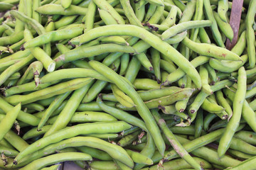 sfondo di fave (fava in background)