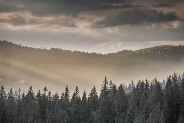 Zelfklevend Fotobehang Mistig bos Onweerswolken boven bergen en het bos