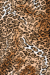 texture of print fabric striped leopard - 112306177
