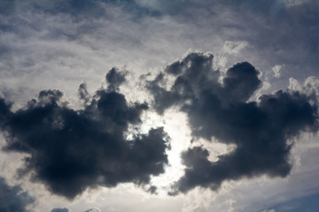 abstract cloud like animals fight