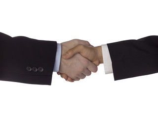 corporate shake hands