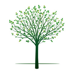 Shape of Green Tree. Vector Illustration.
