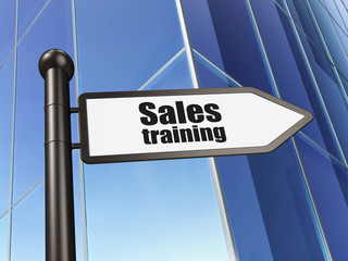 Fototapeta premium Advertising concept: sign Sales Training on Building background