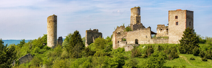 Obraz premium Castle Ruin Brandenburg - Panorama 