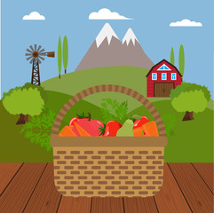 Organic food and farm concept, vegetables in a basket