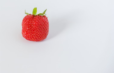 fresh Strawberry on a light background