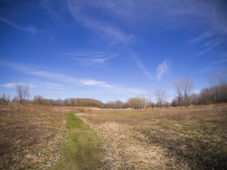 Fototapeta premium Spring landscape