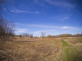 Fototapeta na wymiar Spring landscape