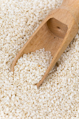 Wooden spoon in the sesame