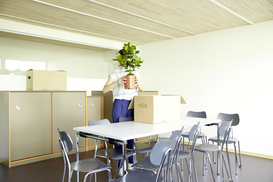 Woman hiding behind potted plant in new office
