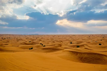 Zelfklevend Fotobehang Desert in Dubai, United Arab Emirates © anderm