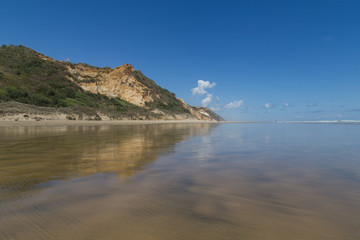 Obraz premium Baylys Beach on the North Island, New Zealand