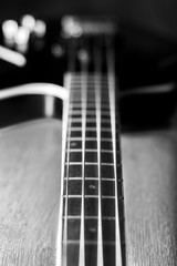 Body of a classic black bass guitar