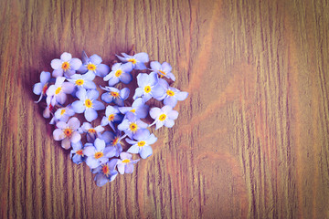 Obraz na płótnie Canvas Forget-me-nots flowers in shape of heart on wooden backgroud