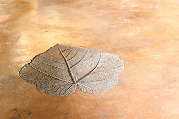 Leaf print on concrete texture background.
