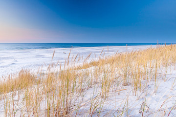 Obraz premium beautiful view of the coastal dunes