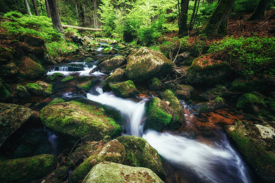 Wasserläufe durch mystische Wälder