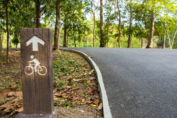Bicycle lane in the park