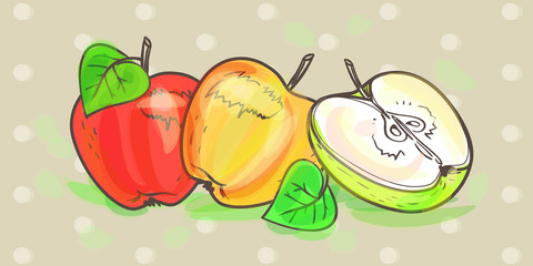 Ripe apples and Apple half, illustration in vector on the abstract background. Beautiful, delicious, realistic, and organic apples for design and execution. Vector watercolor retro art set.