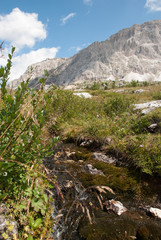Dolomiti, Italy. Creek in Valparola pass