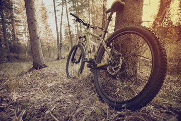 Fototapeta na wymiar mountain bike on the trail in the beautiful summer forest.