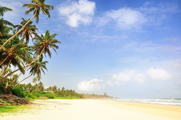 Beach on Sri Lanka.