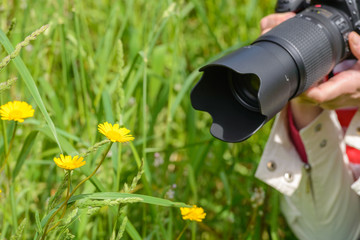 image of a woman taking pictures