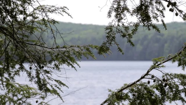 northern lake landscape