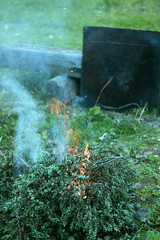 flames of fire burning bush