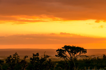 Fototapeta na wymiar Sunset on the Savannas in Brazil