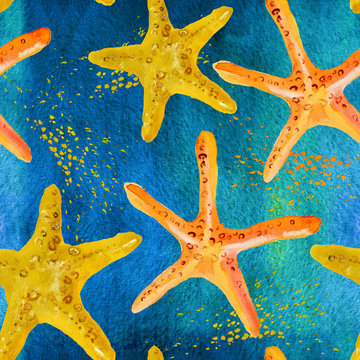 Caribbean starfish on white background.