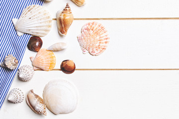 Summer background. Seashells