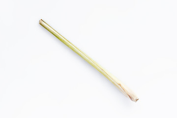 Lemon grass, single stem on white background