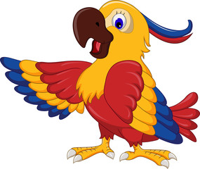 cute parrot cartoon posing
