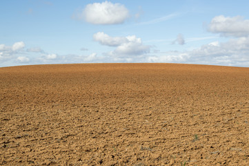 Blue and brown in Soria