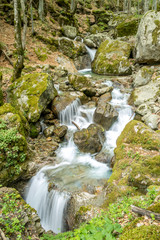 Forest waterfall in the mountains in autumn 