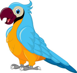 cute parrot cartoon