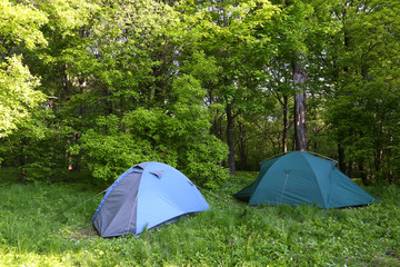 two blue tents in  green  forest