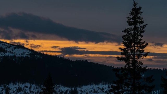 High tree with mountaina and cloudy sunset sky in the background. Timelapse, 4k UHD 2160p