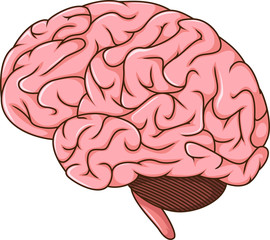 human brain cartoon