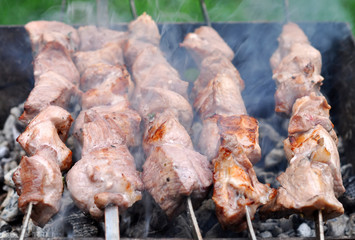 Barbecue Beef Kebabs On The Hot Grill Close-up. Coals In The Bac